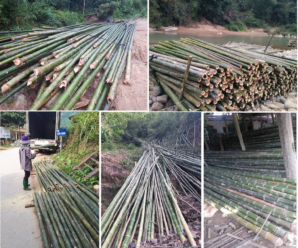 cọc tre uy tín Đà Nẵng